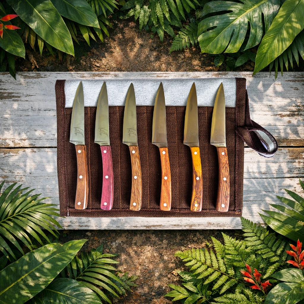 Ménagère de 6 couteaux d'office